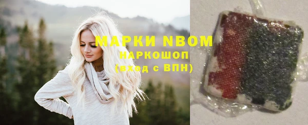 сатива Вяземский