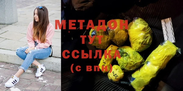 сатива Вяземский