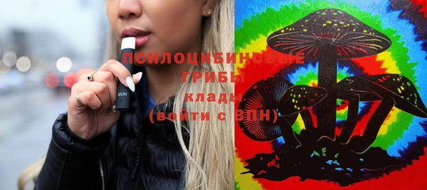 Альфа ПВП Вязники