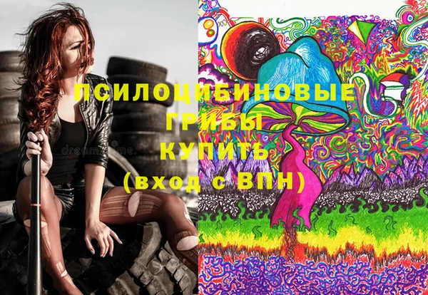 прущие грибы Покров