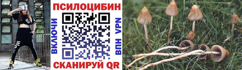Псилоцибиновые грибы GOLDEN TEACHER  блэк спрут онион  Данков  хочу  
